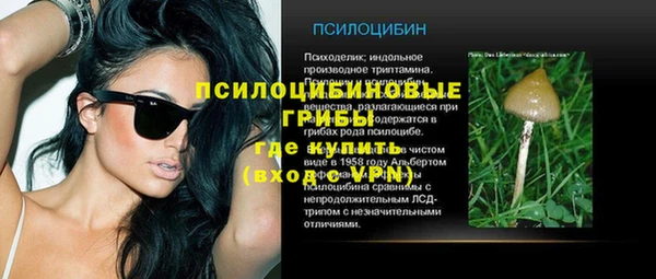 амф Балахна