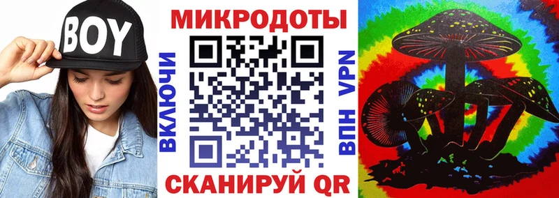 Псилоцибиновые грибы Psilocybine cubensis  Серафимович 